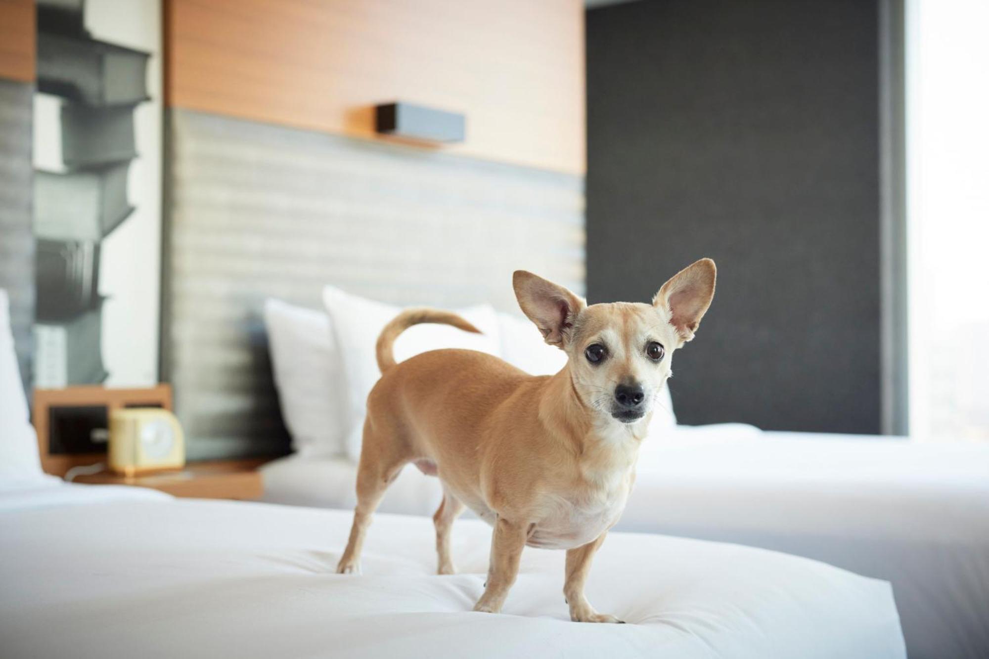 Aloft Chicago Downtown River North Εξωτερικό φωτογραφία